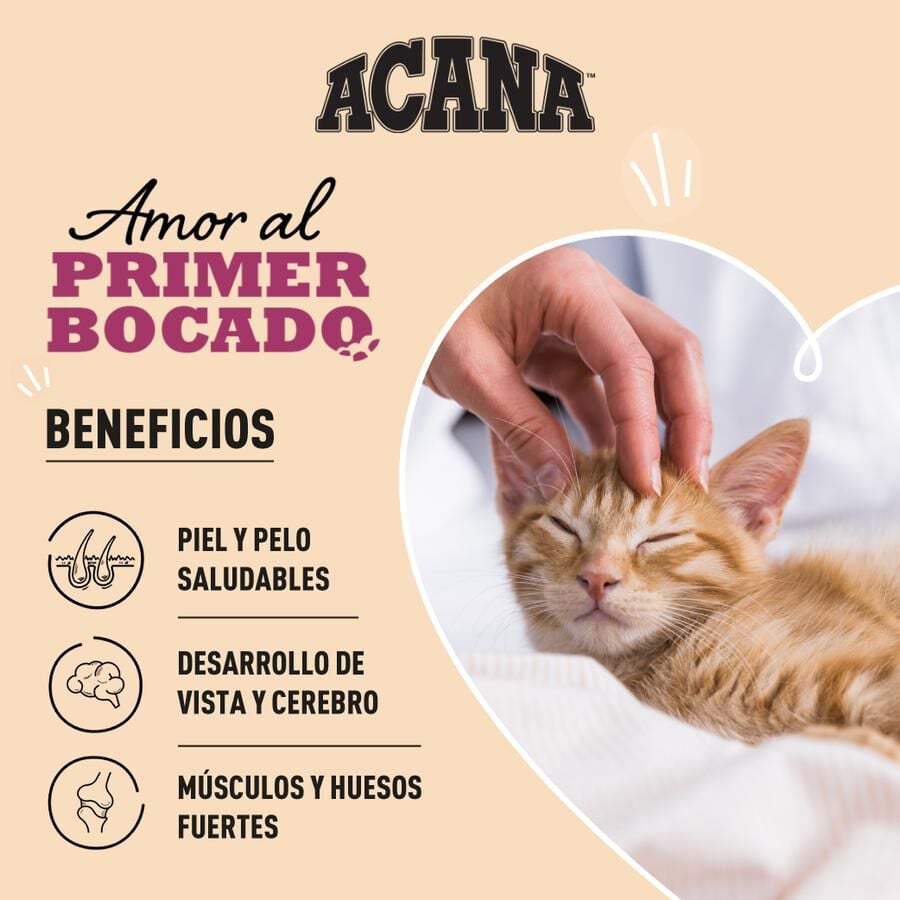 1.8 kg Acana First Feast pienso para gatitos, , large indicador imagen numero 2