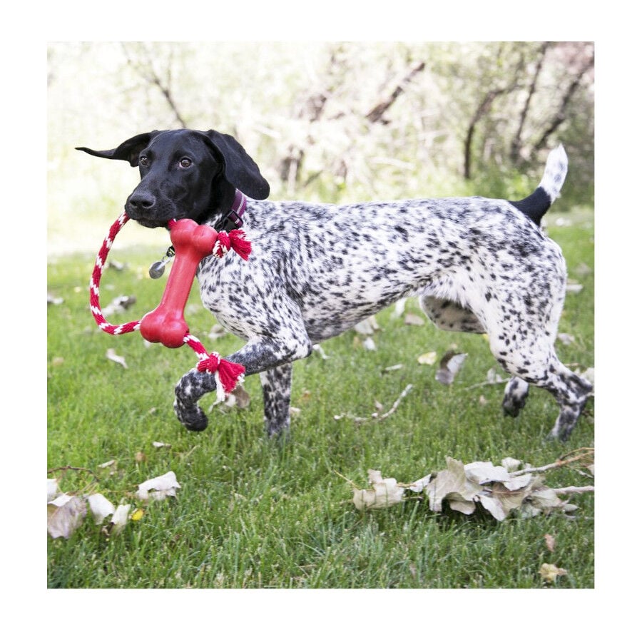 Kong Goodie Bone Hueso con cuerda para perros, , large Imagen numero 2