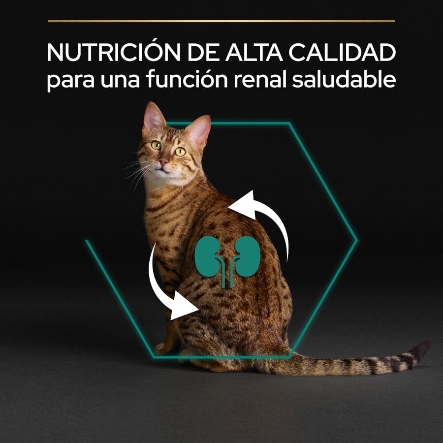 10 kg Pro Plan Adult Renal Plus Pollo Pienso para gatos, , large Imagen numero 6
