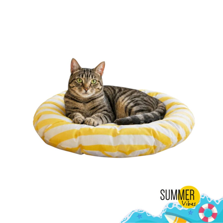 Summer Vibes Cama Redonda Refrescante Amarilla para gatos, , large indicador imagen numero 7
