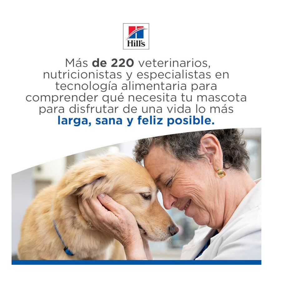 14 kg Hill's Science Plan Sensitive Stomach y skin Adult Pollo pienso para perros, , large indicador imagen numero 11