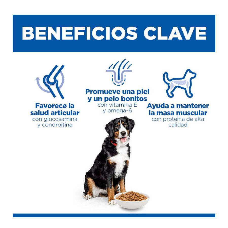 18 kg Hill's Science Plan Adult Large Pollo pienso para perros, , large indicador imagen numero 6