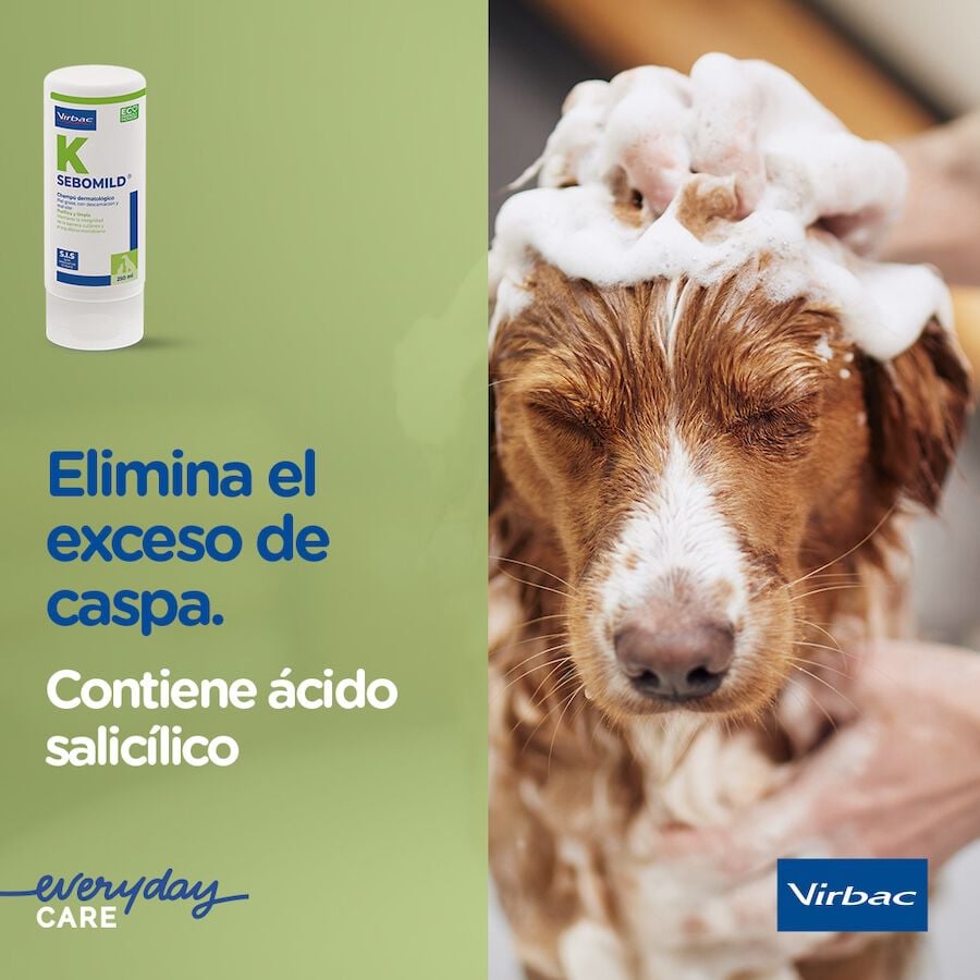 Virbac Sebomild Champ&uacute; para pieles grasas en perros y gatos, , large indicador imagen numero 6