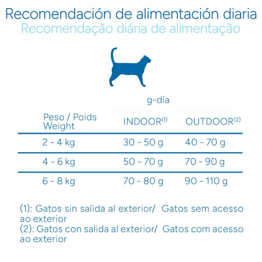 2 kg Criadores Cient&iacute;fico Adulto Pollo pienso para gatos, , large Imagen numero 9