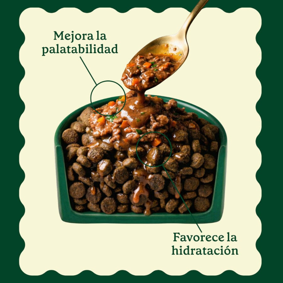 85 g Wild Balance Toppers Ternera salsa para perros, , large indicador imagen numero 3