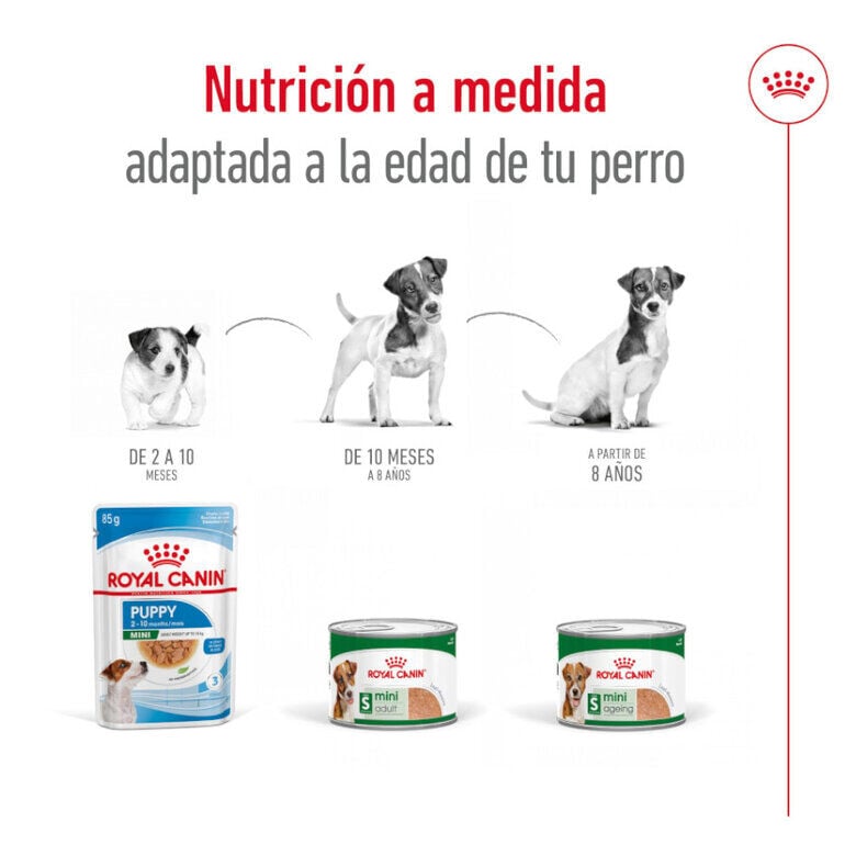 195 g Royal Canin Mini 8+ Ageing lata para perros&nbsp;senior, , large Imagen numero 5