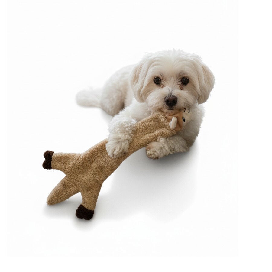 LOVE THE EARTH Peluche llama con sonido para perros, , large indicador imagen numero 6