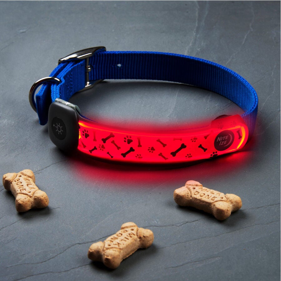 Nite Ize NiteDog Banda LED Recargable para perros, , large Imagen numero 6