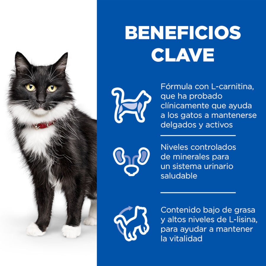 12 sobres x 85 g Hill's Science Plan Sterilised Mature Pollo en Salsa sobre para gatos, , large indicador imagen numero 5