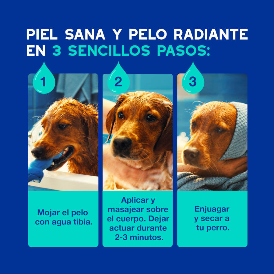Ceva Douxo Spa Champ&uacute; Antiolor para perros, , large Imagen numero 5