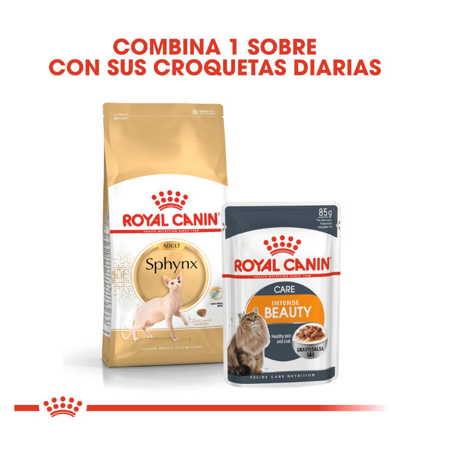 10 kg Royal Canin Adult Sphynx pienso para gatos, , large Imagen numero 3