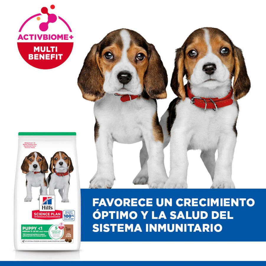 14 kg Hill's Science Plan Puppy Medium Cordero y arroz Pienso para perros, , large indicador imagen numero 4