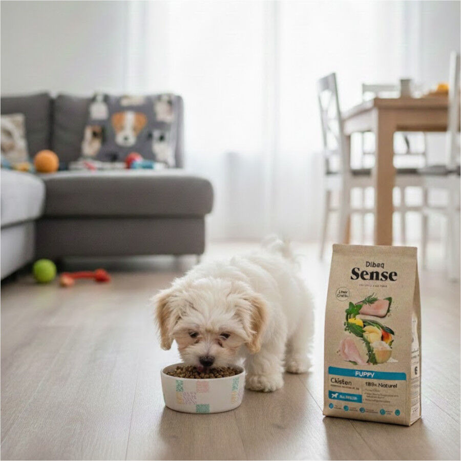 12 kg Dibaq Sense Low Grain Puppy Pollo Pienso para perros, , large indicador imagen numero 4