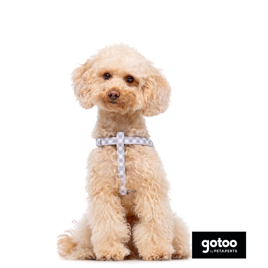 Gotoo Arn&eacute;s estampado cuadro vichy gris para perros
