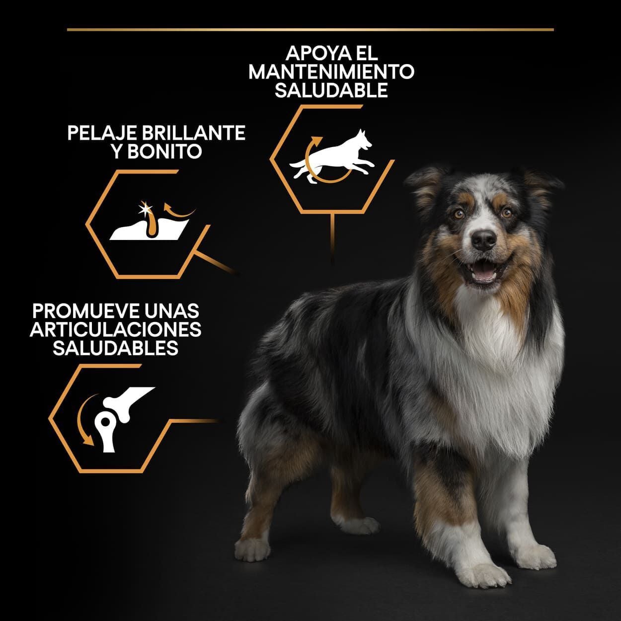 14 kg Pro Plan Medium Adult Pollo pienso para perros, , large indicador imagen numero 3