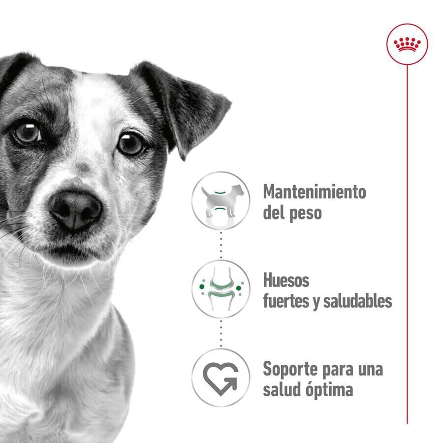 85 g Royal Canin Mini Adult sobre en salsa para perros, , large indicador imagen numero 3