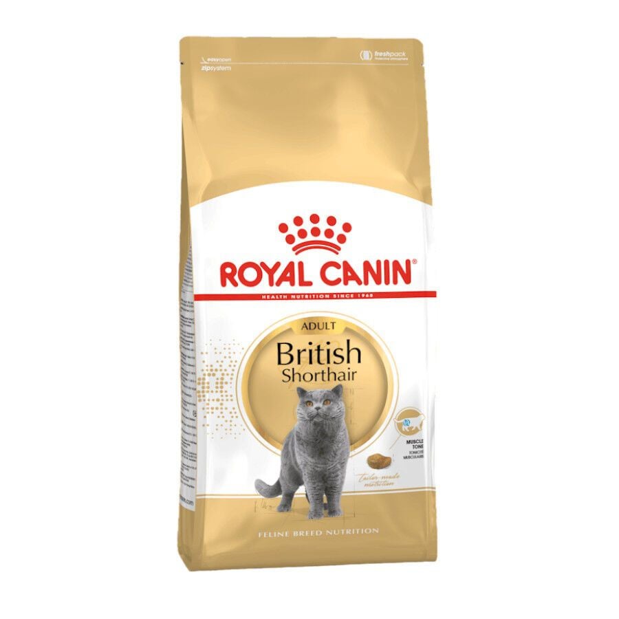 10 kg Royal Canin Adult British Shorthair pienso para gatos, , large Imagen numero 1