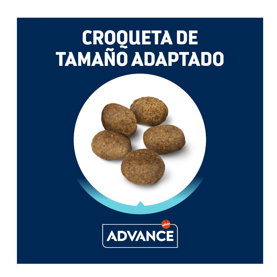 8 kg (7 + 1 kg &iexcl;gratis!) Advance Active Defense Mini Sensitive Salm&oacute;n y Arroz pienso para perros, , large indicador imagen numero 2