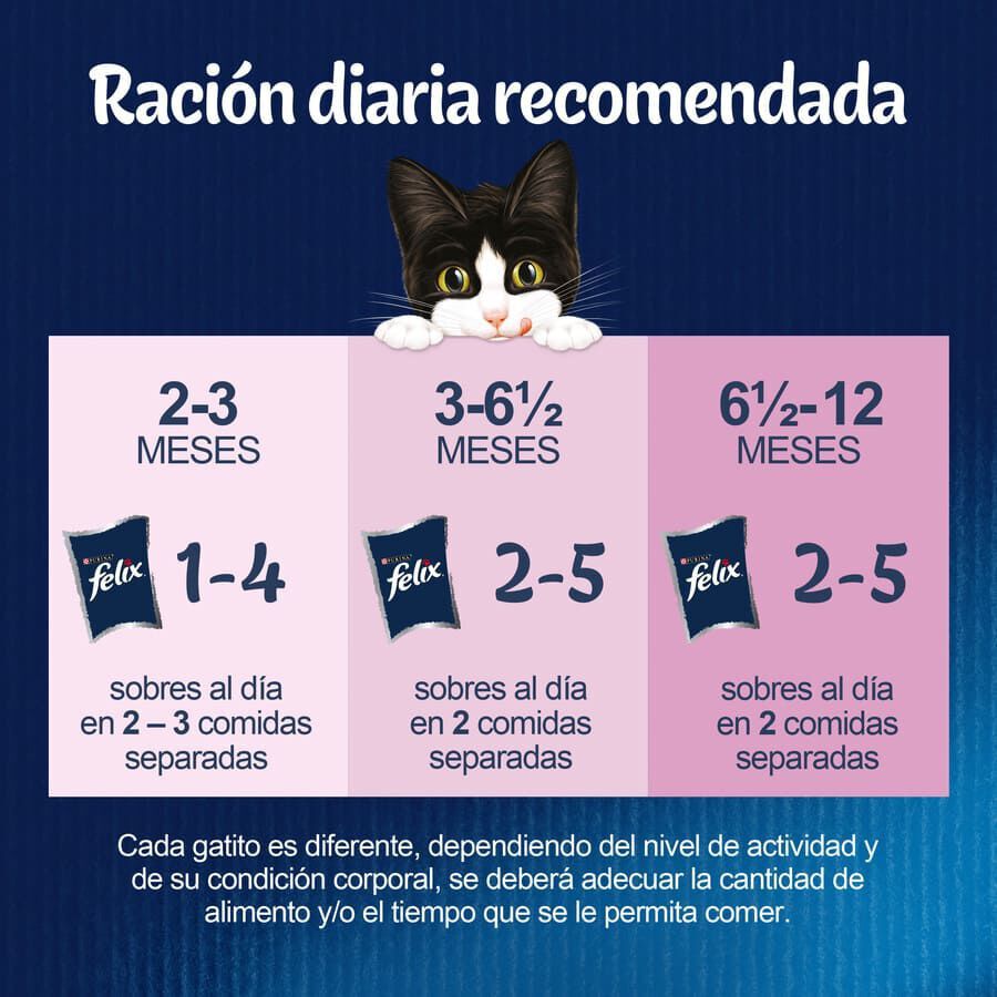 4 sobres x 85 g Felix Junior Fantastic Carne y Pescado en Gelatina sobre para gatos, , large Imagen numero 3