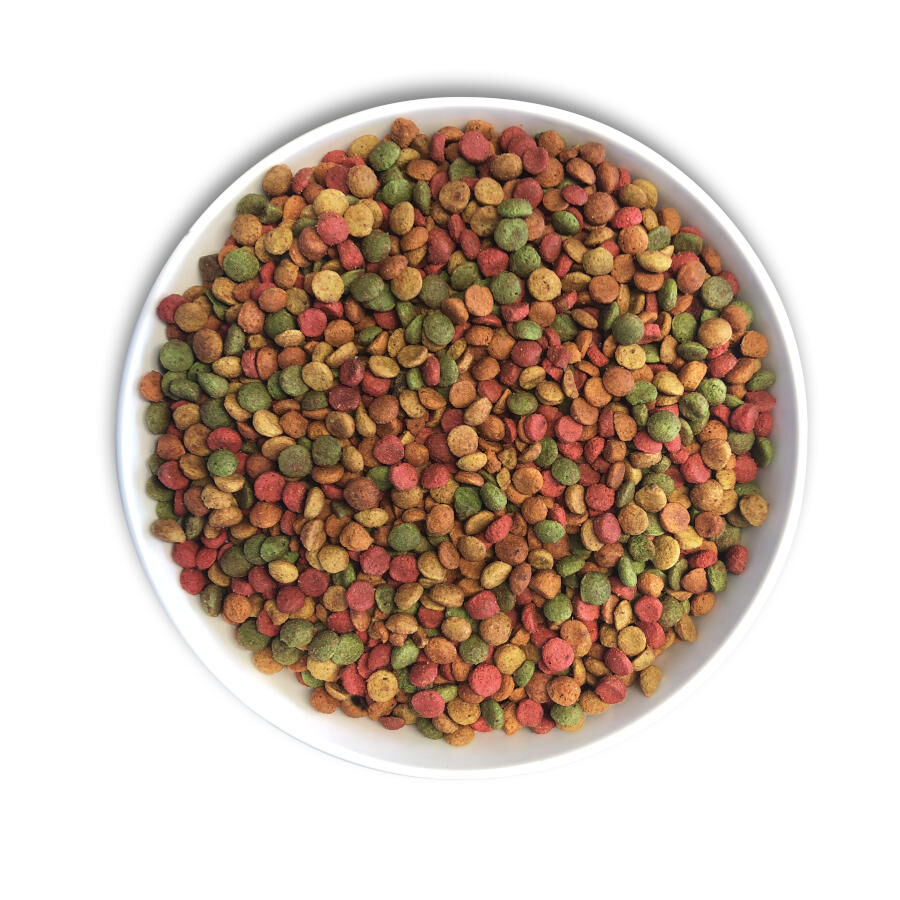 1 kg Cunipic Alpha Pro Parrots Tropical Blend pienso para loros, , large Imagen numero 3