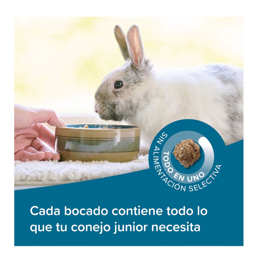 Beaphar Care + Junior Pienso para conejo junior, , large indicador imagen numero 4