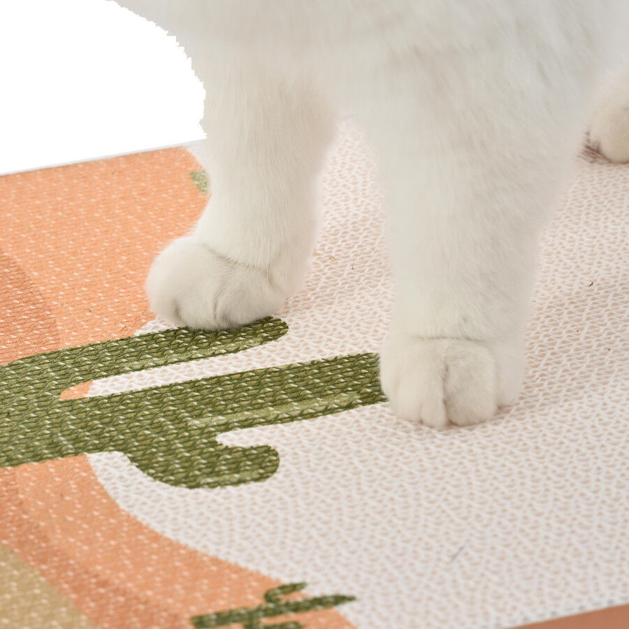 Leeby Darcy tabla rascador de cart&oacute;n para gatos, , large indicador imagen numero 7