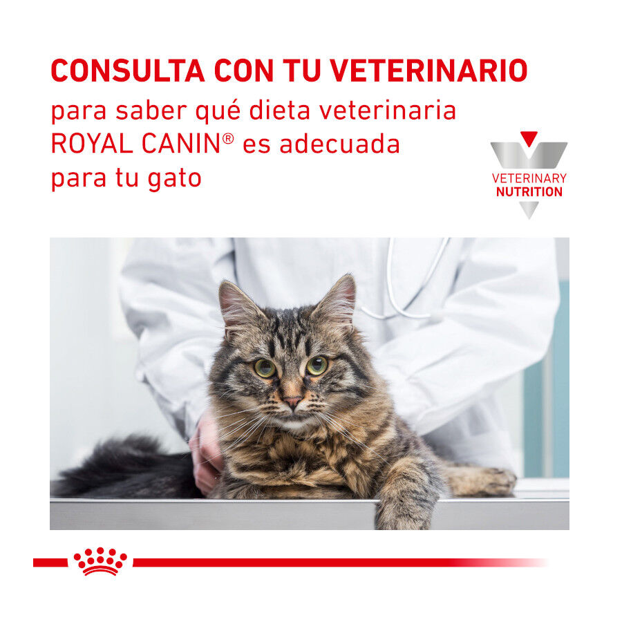7 kg Royal Canin Veterinary Urinary pienso para gatos, , large indicador imagen numero 7