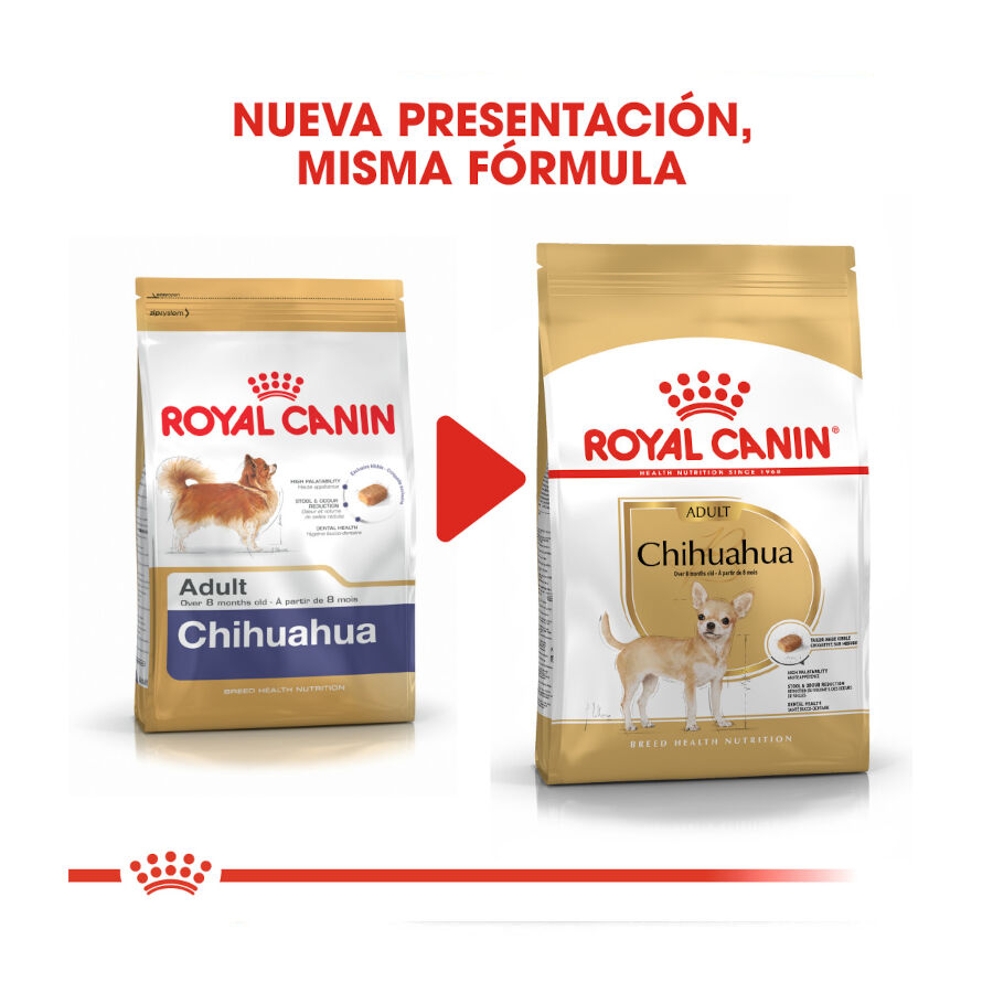3 kg Royal Canin Adult Chihuahua pienso para perros, , large indicador imagen numero 3