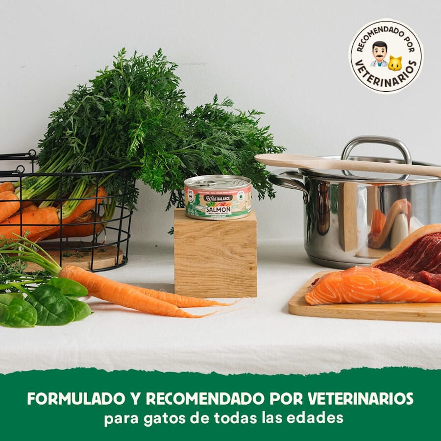 120 g Wild Balance BARF Salm&oacute;n y Ternera lata para gatos, , large indicador imagen numero 4