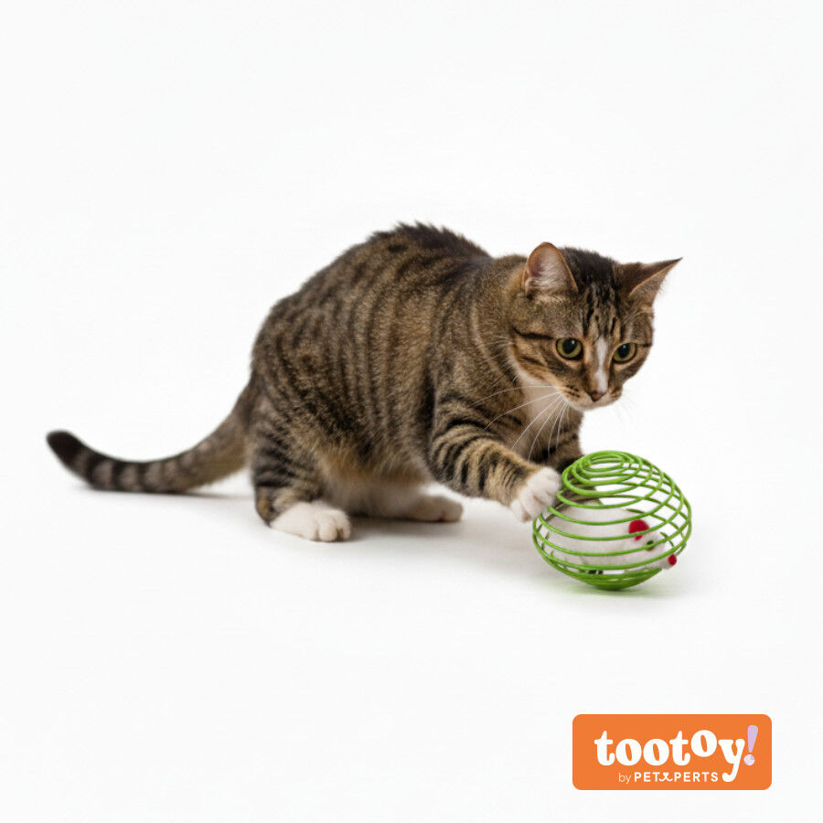 Tootoy! Pelota Interactiva con Rat&oacute;n para gatos, , large Imagen numero 11