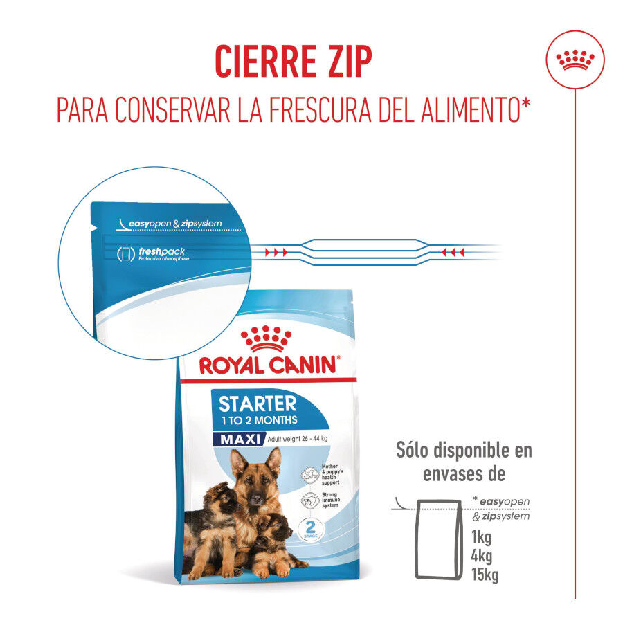 4 kg Royal Canin Starter MotheryBaby Maxi pienso para perros, , large Imagen numero 9