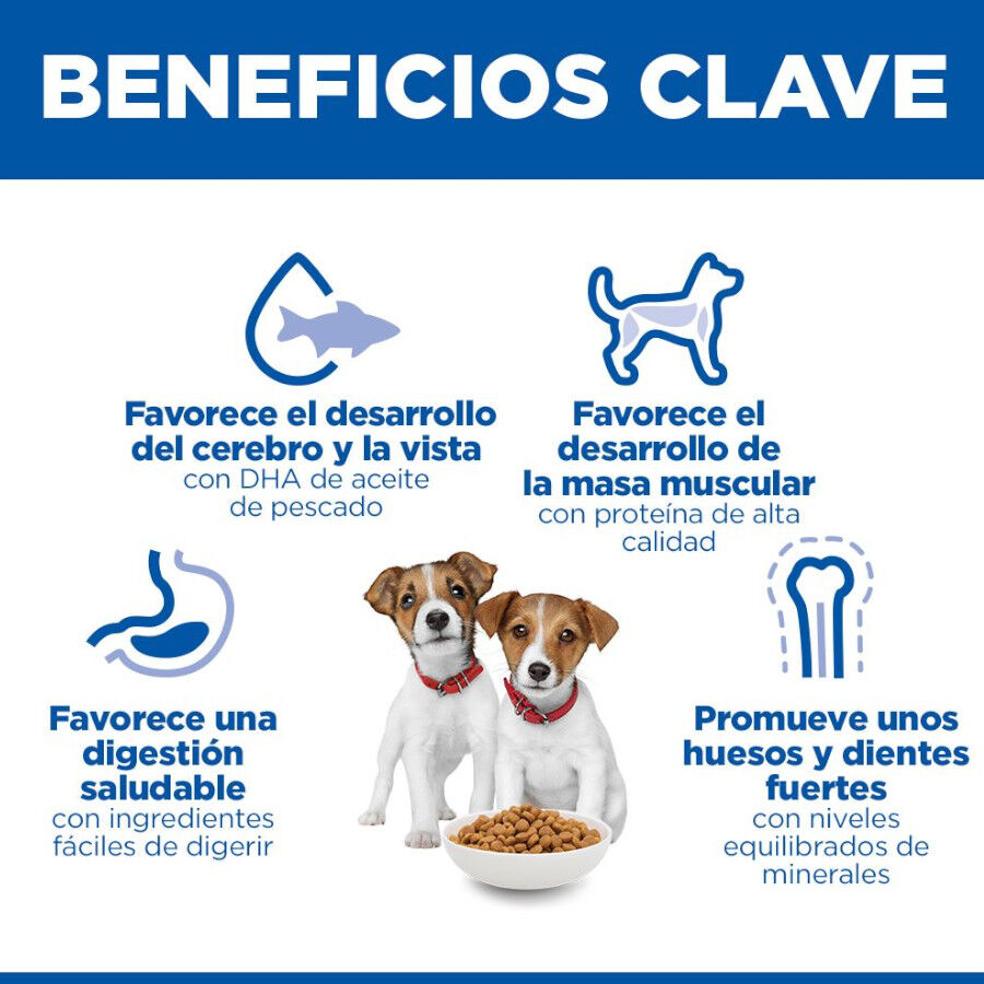 6 kg Hill's Science Plan Puppy Small y mini Cordero y arroz para perros, , large indicador imagen numero 5