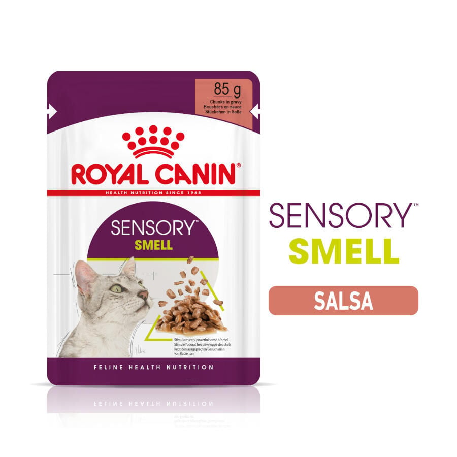 85 g Royal Canin Adult Sensory Smell salsa sobre para gatos, , large indicador imagen numero 1