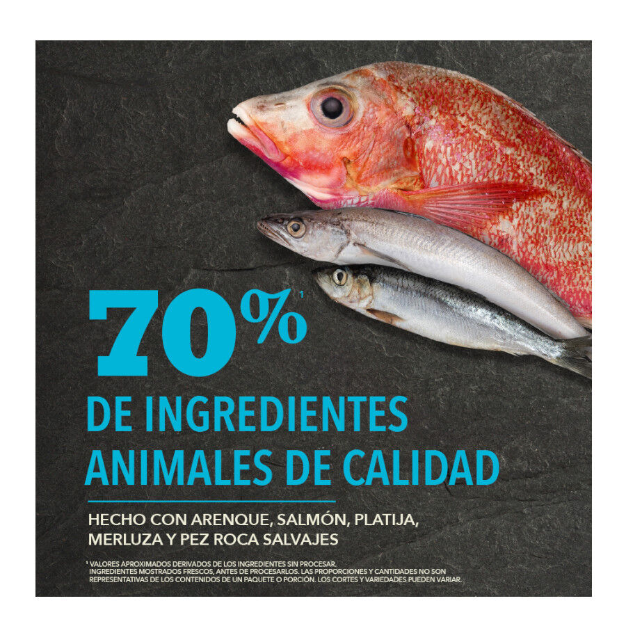 11.4 kg Acana Pac&iacute;fica pienso para perros, , large indicador imagen numero 7