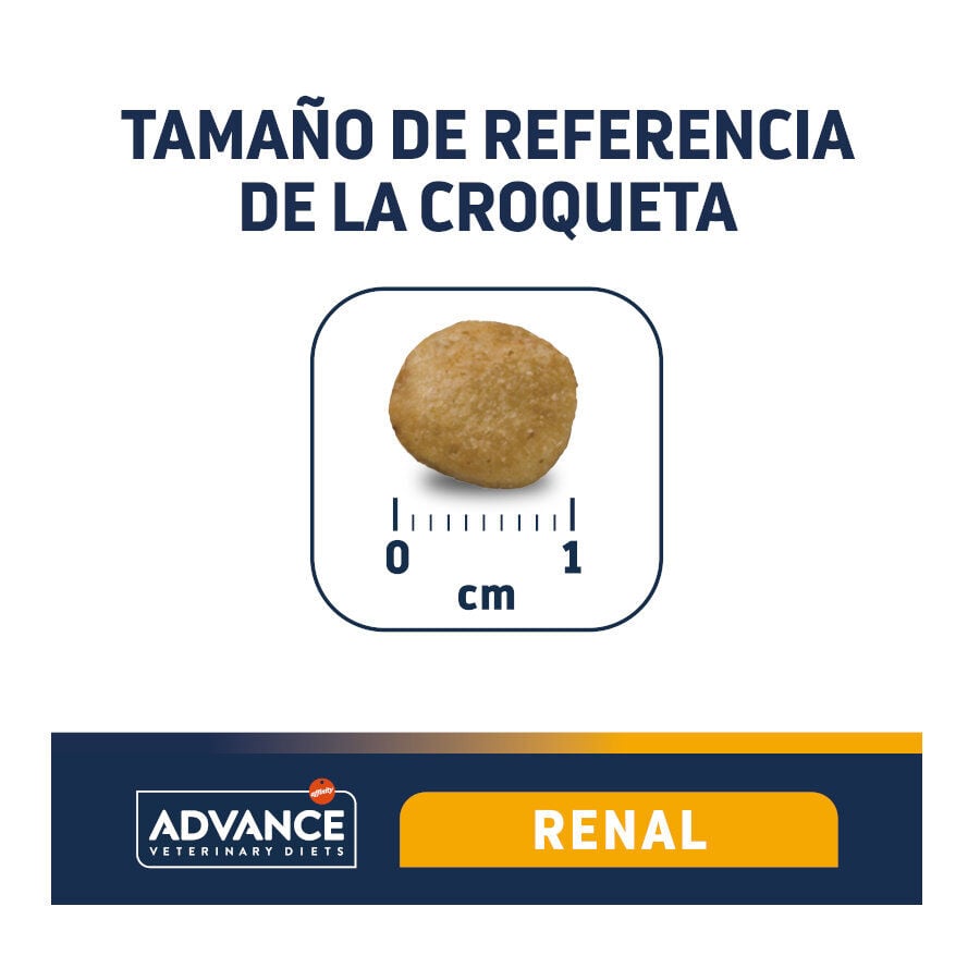 12 kg Advance Veterinary Diets Renal pienso para perros, , large Imagen numero 4