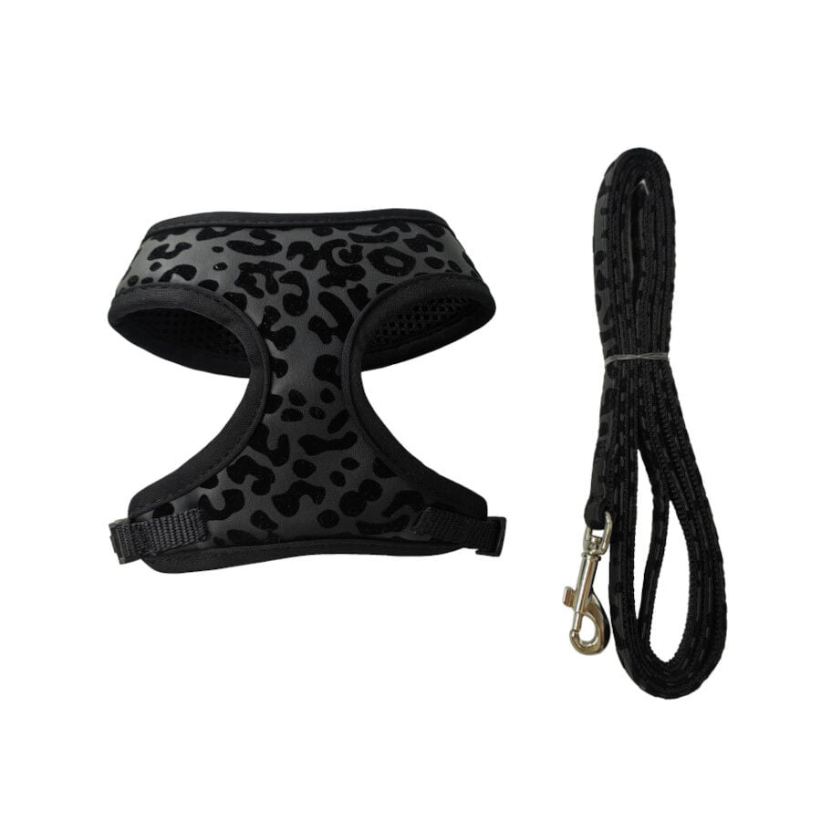 Gotoo Correa y arn&eacute;s estampado animal negro para gatos , , large Imagen numero 1