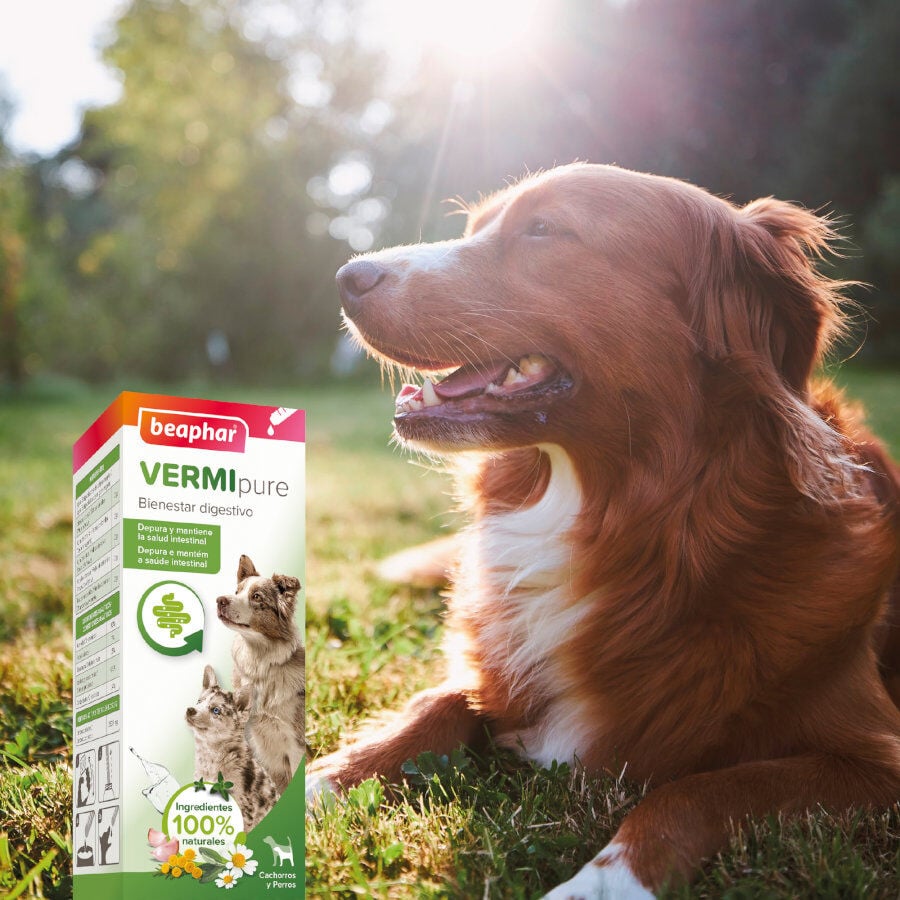 Beaphar Vermipure Repelente Interno Natural L&iacute;quido para perros y cachorros, , large indicador imagen numero 7