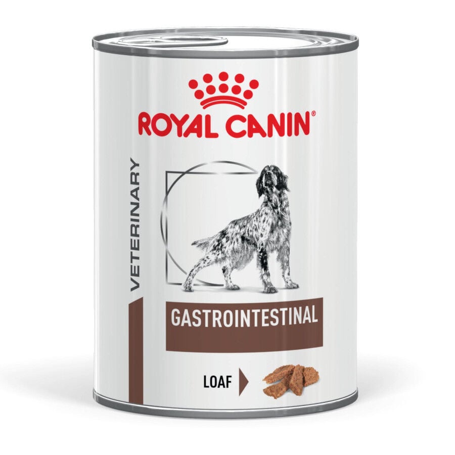 400 g Royal Canin Veterinary Diet Gastrointestinal lata para perros  , , large indicador imagen numero 1