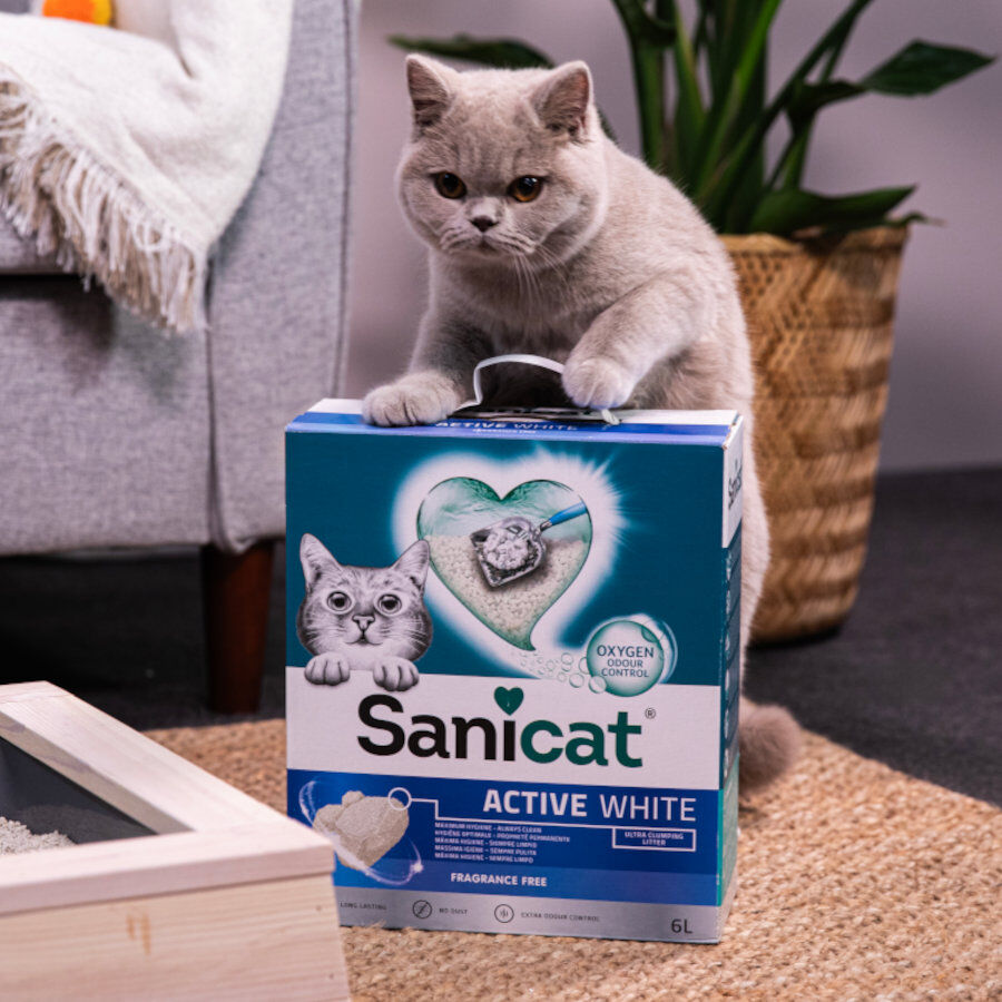 20 L Sanicat Clumping White Arena Blanca Aglomerante sin perfume para gatos, , large Imagen numero 4