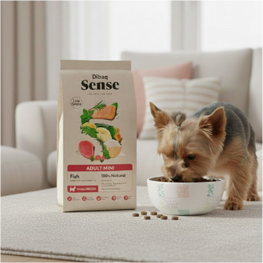 2 kg Dibaq Sense Low Grain Ault Mini Pescado Pienso para perros, , large indicador imagen numero 5