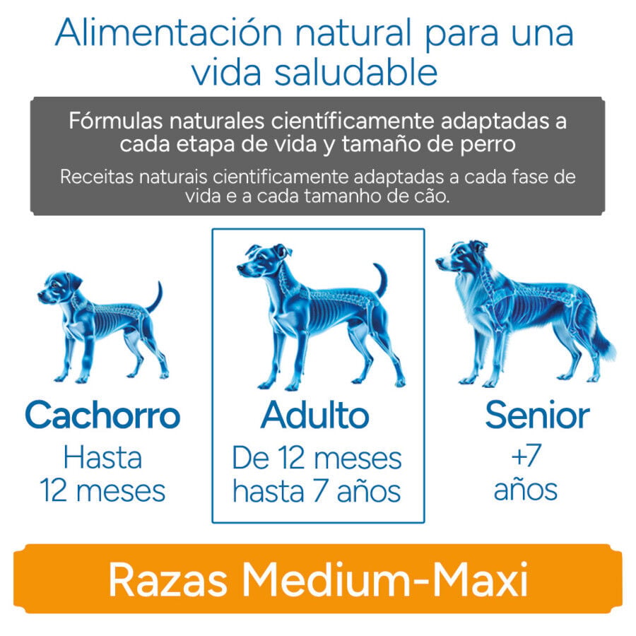 12 kg Criadores Cient&iacute;fico Light -46% contenido graso Adulto Medium-Maxi Pienso Pollo para perros, , large Imagen numero 11