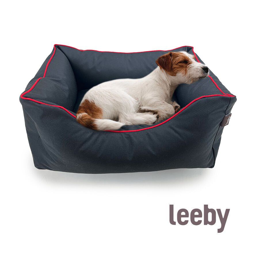 Leeby Cuna waterproof Anti Pelos Negro para perros, , large indicador imagen numero 1