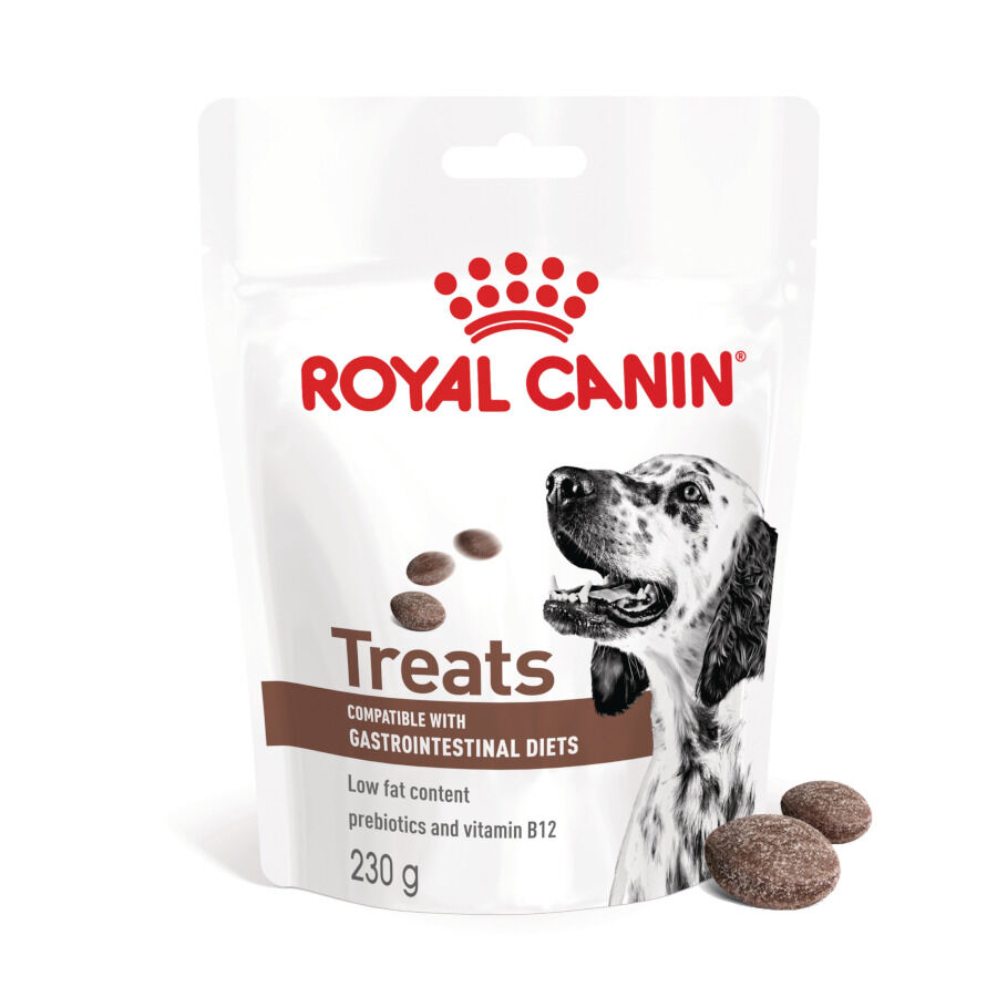 230 g Royal Canin Treats Gastrointestinal Snacks para Perros, , large indicador imagen numero 1