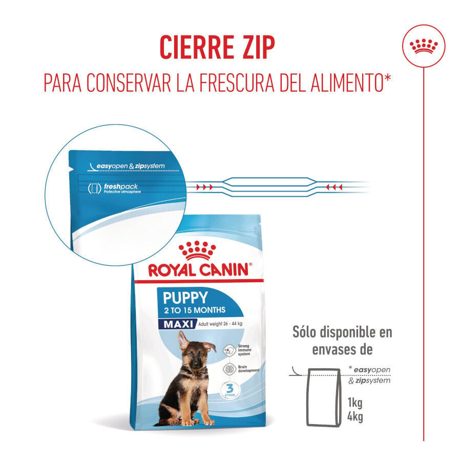 1 kg Royal Canin Puppy Maxi pienso para perros, , large indicador imagen numero 8