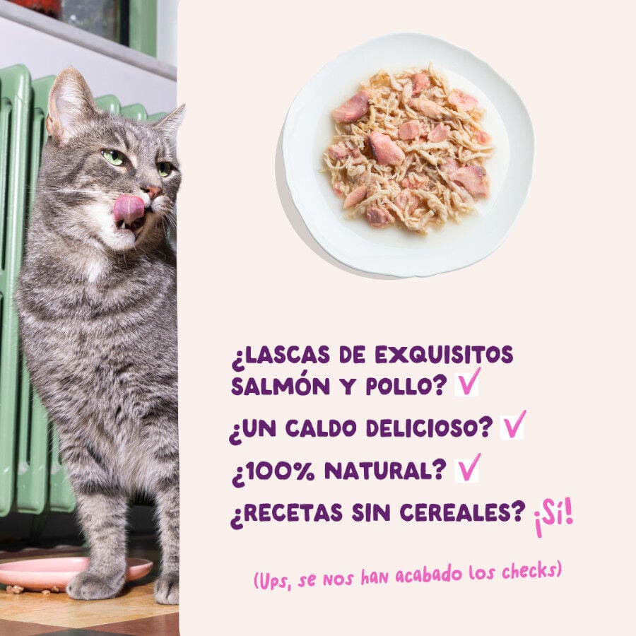 70 g Edgard & Cooper Filetes de Salm&oacute;n y Pollo Lata para gatos, , large indicador imagen numero 4