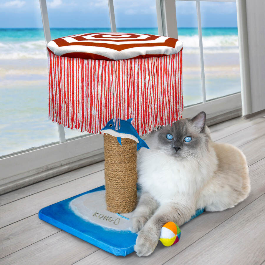 Kong PlaySpaces Catbana juguete para gatos, , large Imagen numero 2