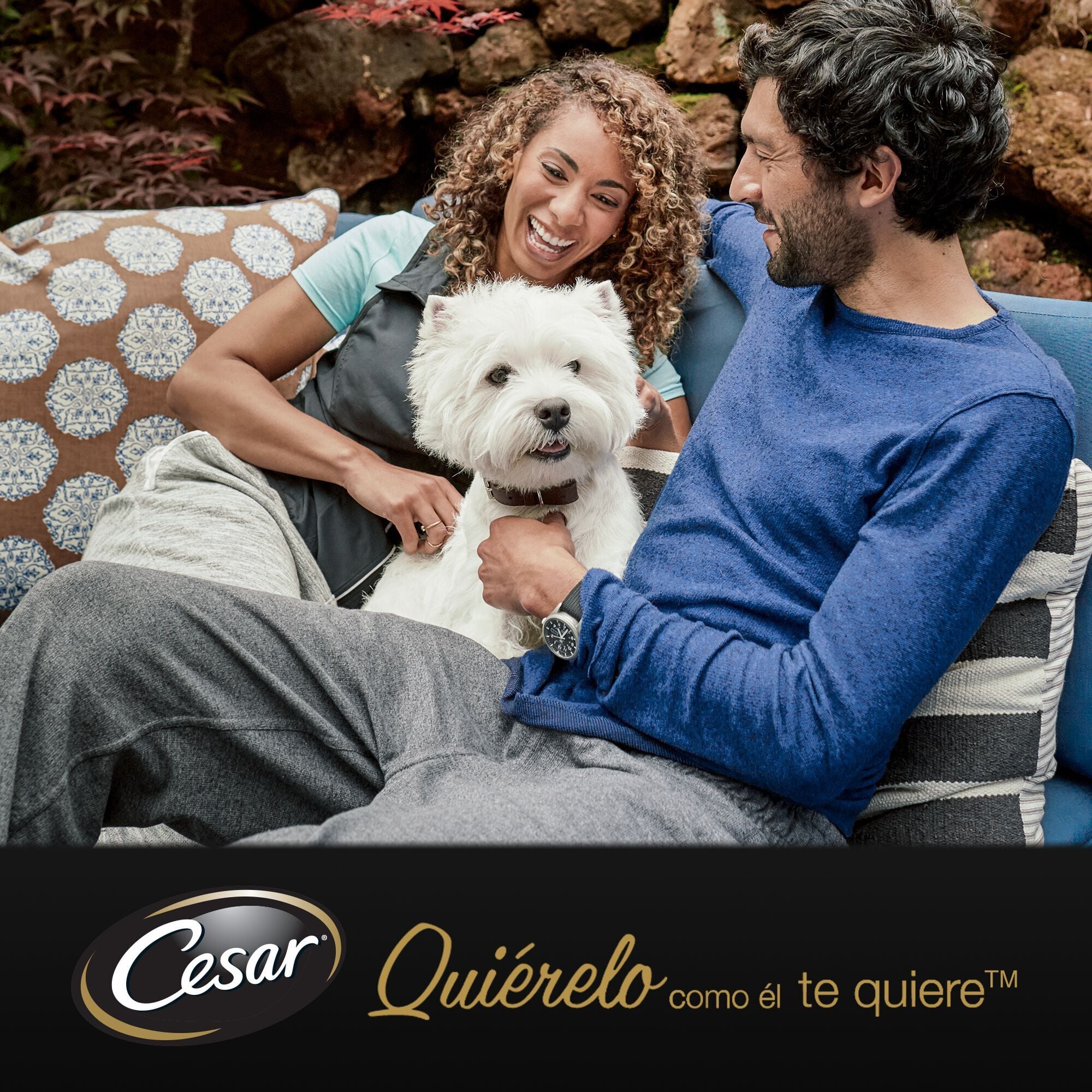 4 sobres x 100 g Cesar Carnes Mixtas Gelatina en Bolsita para Perros , , large indicador imagen numero 6