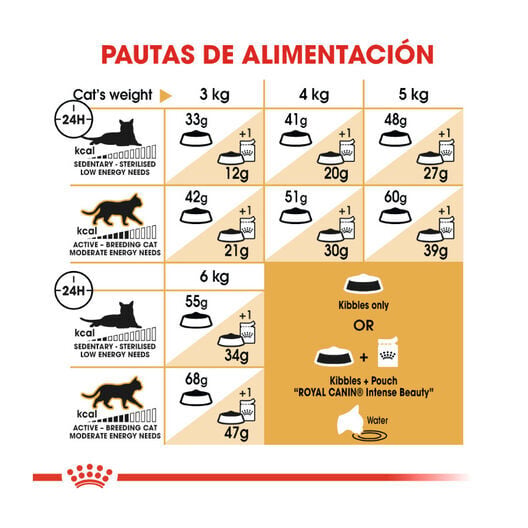 10 kg Royal Canin Adult Siamese pienso para gatos, , large Imagen numero 8