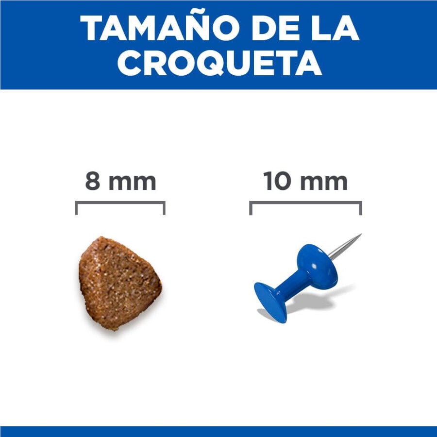 1.5 kg Hill's Science Plan Perfect Digestion Kitten Pienso para gatos, , large indicador imagen numero 4