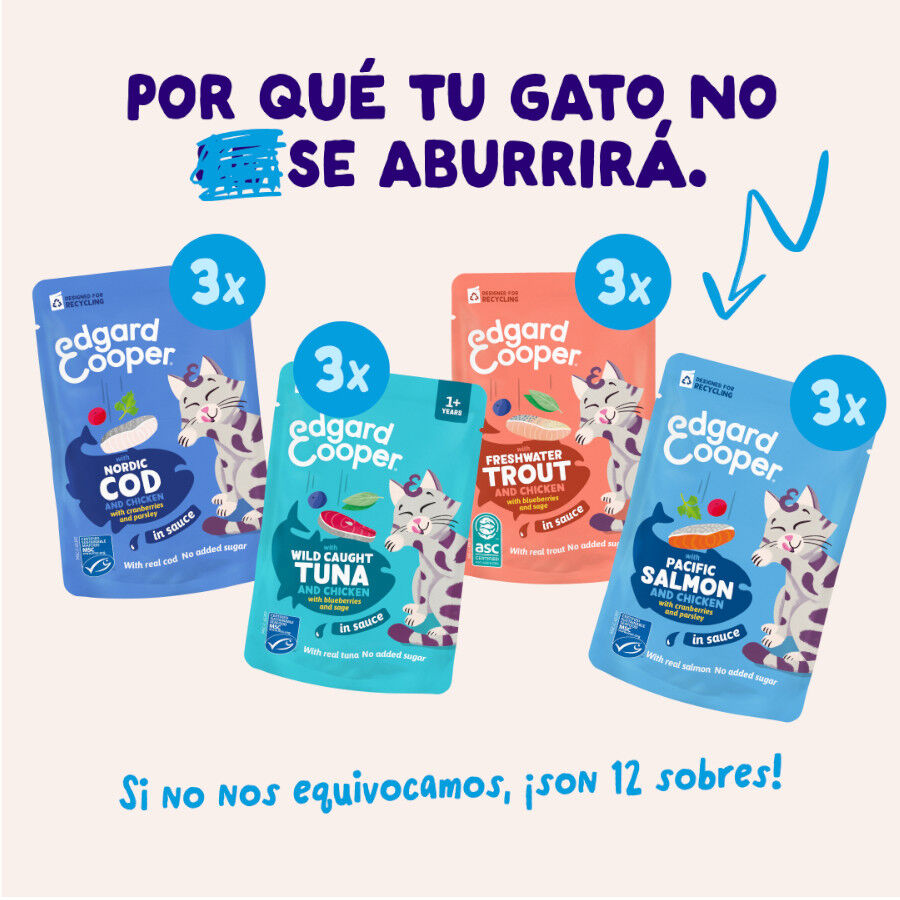 12 x 85 g Edgard & Cooper Selecci&oacute;n Captura del D&iacute;a sobre en salsa para gatos, , large indicador imagen numero 2
